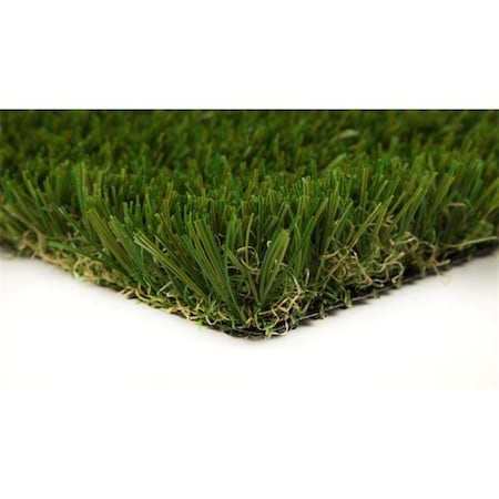 Sgw Everlast SGW Everlast EVERFES655X10 Everglade Fescue 120 x 60 x 1.75 in. Artificial Turf EVERFES655X10